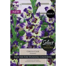 TAYLORS Gladioli Circus Club - Special Edition TAYLORS Gladioli Circus Club - Special Edition