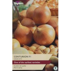 ONION 'Centurion F1' ONION 'Centurion F1'