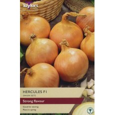 ONION 'Hercules F1' ONION 'Hercules F1'