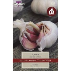 GARLIC - FRENCH 'Flavor' GARLIC - FRENCH 'Flavor'