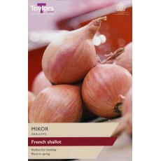 SHALLOT - FRENCH 'Mikor' SHALLOT - FRENCH 'Mikor'
