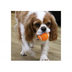 ANCOL High Bounce Tennis Ball ANCOL High Bounce Tennis Ball