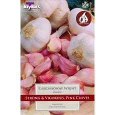 TAYLORS Garlic Carcassonne Wight TAYLORS Garlic Carcassonne Wight