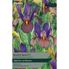 TAYLORS Iris Black Beauty TAYLORS Iris Black Beauty