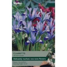 TAYLORS Iris Dwarf Clairette TAYLORS Iris Dwarf Clairette