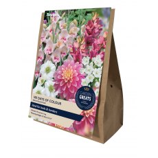 TAYLORS 100 Days Of Colour Collection TAYLORS 100 Days Of Colour Collection