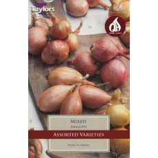 SHALLOTS Pre-Packed Mixed SHALLOTS Pre-Packed Mixed