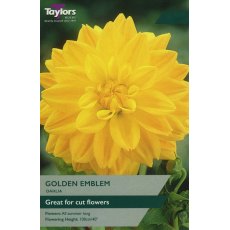 TAYLORS Dahlia Golden Emblem TAYLORS Dahlia Golden Emblem