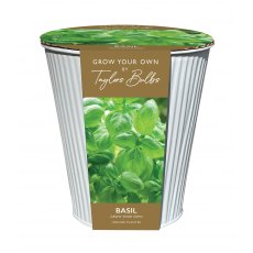 TAYLORS Indoor Basil Zinc Planter TAYLORS Indoor Basil Zinc Planter