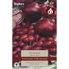 ONION 'Red Baron' ONION 'Red Baron'
