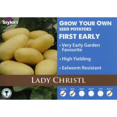SEED POTATO - FIRST EARLY 'Lady Christl' - 2kg SEED POTATO - FIRST EARLY 'Lady Christl' - 2kg