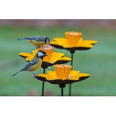 GARDMAN MARIE CURIE Cast Iron Daffodil Feeder GARDMAN MARIE CURIE Cast Iron Daffodil Feeder