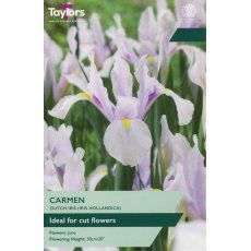 TAYLORS Iris Carmen TAYLORS Iris Carmen