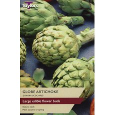 GLOBE ARTICHOKE GLOBE ARTICHOKE