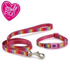 ANCOL Small Bite Rainbow Collar Lead Set Pink ANCOL Small Bite Rainbow Collar Lead Set Pink