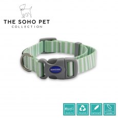 Stripe Patterned Collar M Stripe Patterned Collar M