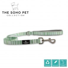 Stripe Patterned Lead Stripe Patterned Lead