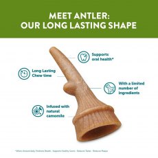 WHIMZEES Antler   Large WHIMZEES Antler   Large