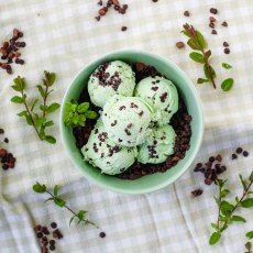 MARSHFIELD FARM Mint Choc Chip MARSHFIELD FARM Mint Choc Chip