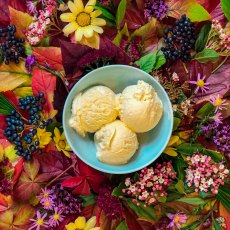 MARSHFIELD FARM PLANT BASED Vanilla MARSHFIELD FARM PLANT BASED Vanilla