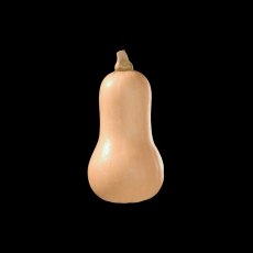 Squash 'Butternut 'Hunter' 9cm Squash 'Butternut 'Hunter' 9cm