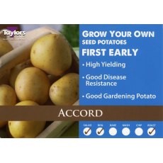 SEED POTATO - FIRST EARLY 'Accord' - 2kg SEED POTATO - FIRST EARLY 'Accord' - 2kg
