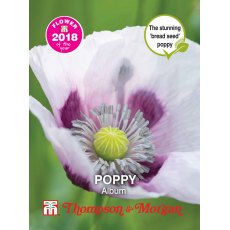 Poppy Album Poppy Album