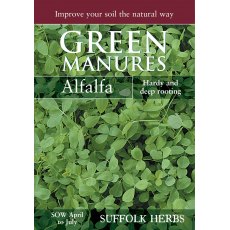 Alfalfa (Pack for 40sq.m) Alfalfa (Pack for 40sq.m)