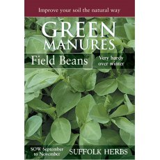 Field Beans (Pack for 6 sq.m) Field Beans (Pack for 6 sq.m)