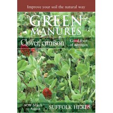 Crimson Clover (Pack for 30 sq.m) Crimson Clover (Pack for 30 sq.m)