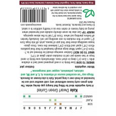 Kale Dwarf Green Curled Kale Dwarf Green Curled