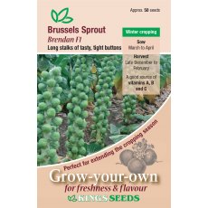 Brussels Sprout Brendan F1 Brussels Sprout Brendan F1