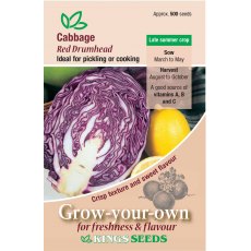 Cabbage Red Drumhead Cabbage Red Drumhead