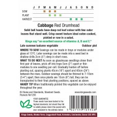 Cabbage Red Drumhead Cabbage Red Drumhead