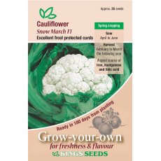Cauliflower Snow March F1 Hybrid Cauliflower Snow March F1 Hybrid