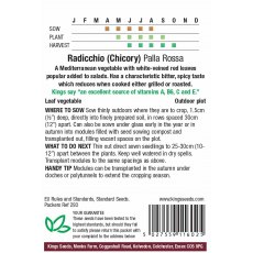 Radicchio (Chicory) Palla Rossa Radicchio (Chicory) Palla Rossa