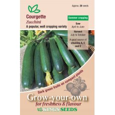 Courgette Zucchini Courgette Zucchini