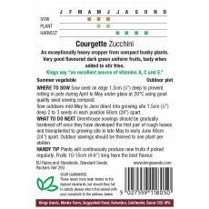 Courgette Zucchini Courgette Zucchini