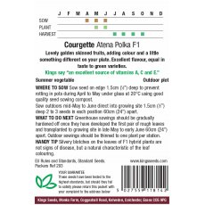 Courgette Atena Polka F1 Courgette Atena Polka F1