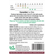 Cucumber La Diva Cucumber La Diva