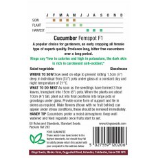 Cucumber Femspot F1 Cucumber Femspot F1