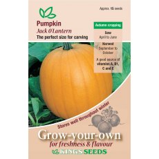 Pumpkin Jack O Lantern Pumpkin Jack O Lantern