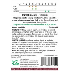 Pumpkin Jack O Lantern Pumpkin Jack O Lantern