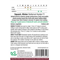 Squash Winter Butternut Hunter F1 Squash Winter Butternut Hunter F1
