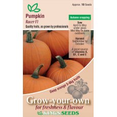 Pumpkin Racer F1 Pumpkin Racer F1