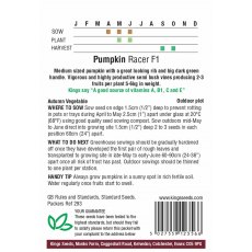 Pumpkin Racer F1 Pumpkin Racer F1