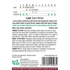 Leek Giant Winter Leek Giant Winter