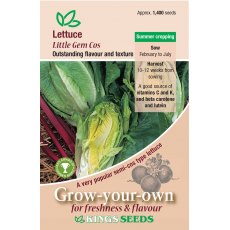 Lettuce Little Gem Cos Lettuce Little Gem Cos