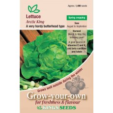 Lettuce Arctic King Lettuce Arctic King