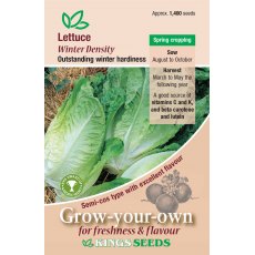 Lettuce Winter Density (Semi-cos type) Lettuce Winter Density (Semi-cos type)